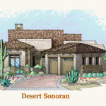 Kino-desert-sonoran