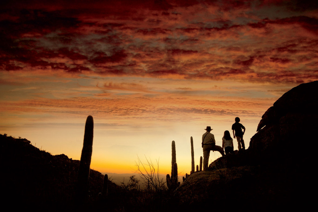 Dove Mountain Hiking Trails Guide