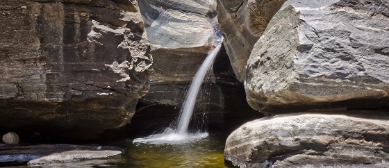 Fresh Flowing Spring Water in Sabino Canyon, Arizona